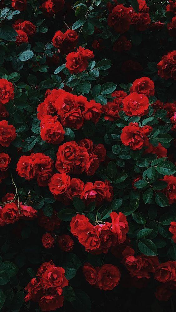 Secret Garden Rendezvous: Floral Mosaic